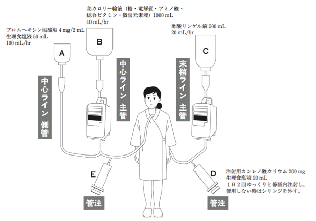 解説画像